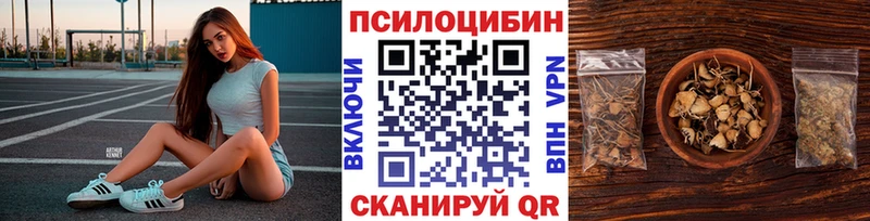 MEGA ССЫЛКА  Темрюк  Галлюциногенные грибы Psilocybine cubensis 